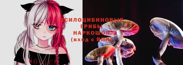 прущая мука Армянск