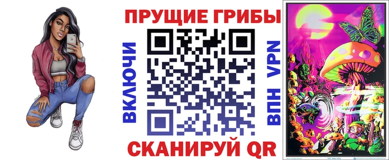 Псилоцибиновые грибы Psilocybe  Урус-Мартан 